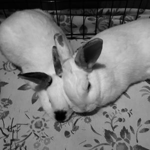 Meet your Posher, Becky